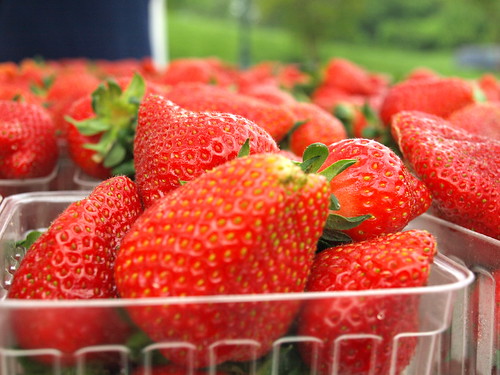 Virginia strawberries