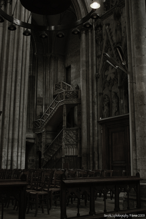 Notre Dame #12