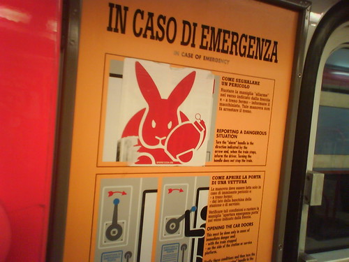 In caso di emergenza far esplodere il coniglio