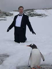 penguin_and_tuxedo_on_ice_4.jpg