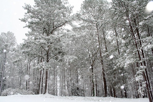 Snow in Alabama 2009