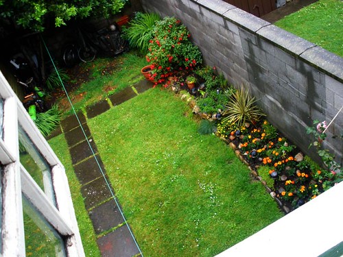 Rainy back garden