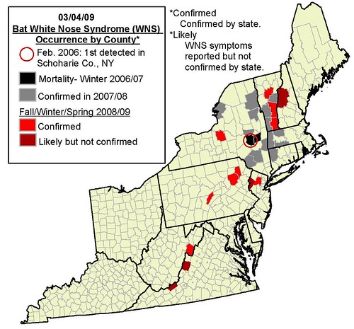 Counties with White Nose Syndrome
