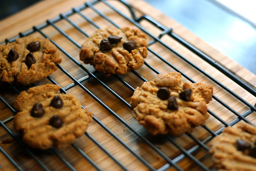 peanutbutter cookie