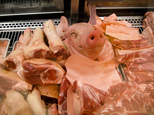 Happy Looking Dead Pig
