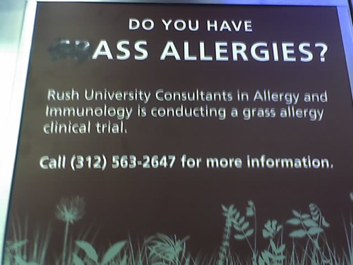 Do You Have Ass Allergies?