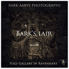 Exhibition "Bark's lair"