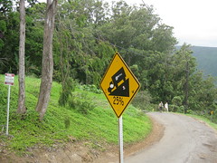 The road down into Waipi'o Valley