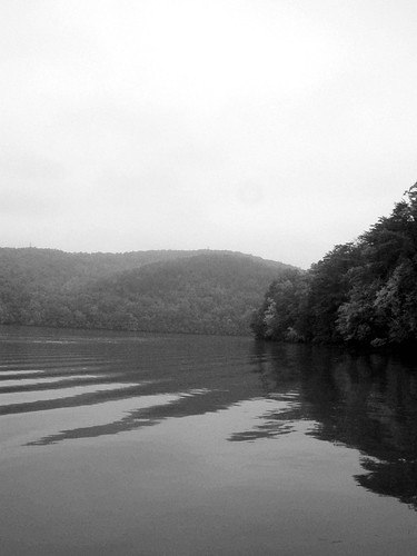 lake black and white