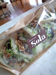 香草とゆずこしょうの豆腐ハンバーグサンド@Sola