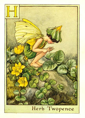 023-herb_twopence_flower_fairy