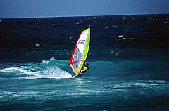 Windsurfing-at-Hookipa-web