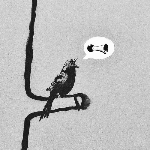 This Little Banksy Bird Can Sing