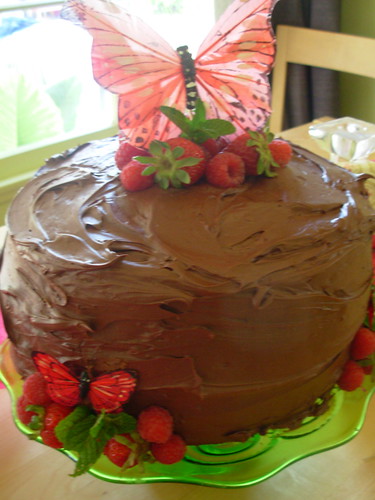 Chocolate Berry Butterfly Cake by Heidi_Bauer.