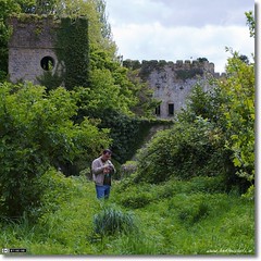 Abandoned & Over Grown - Donadea Castle