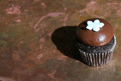 Chocolate mini cupcake, alone by Nicole Lee from Flickr