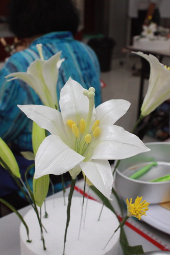 Longiflorum Lily
