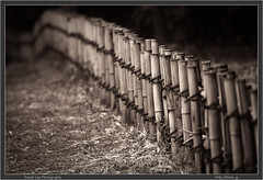 Jindai Botanical Gardens fence sepia