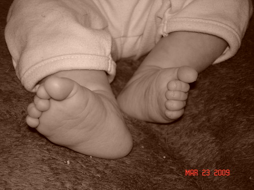 I just love her feet.  13 weeks old.