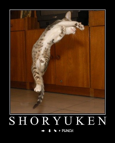LOL Cat Shoryuken