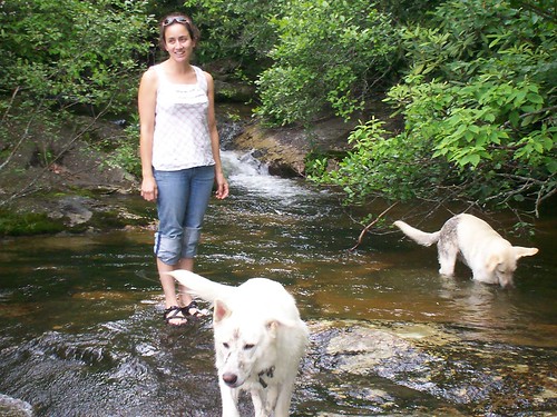 hannah and the dogs cooling off