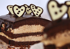 Chocolate cream cake 0731 R
