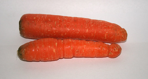 01 - Zutat Karotten