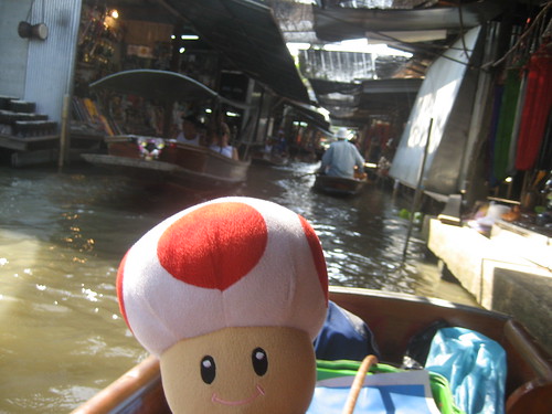 Toad at Floating Market