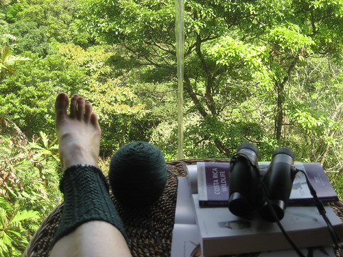 Hedera sock progress in Monteverde