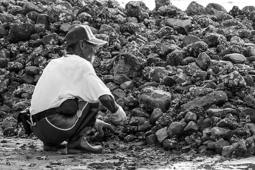 烏溪沙拾石老翁 Stone-picking old men at Wu Kai Sha (Beach) / 香港人 Hong Kong Humans / SML.20130809.7D.50058.BW