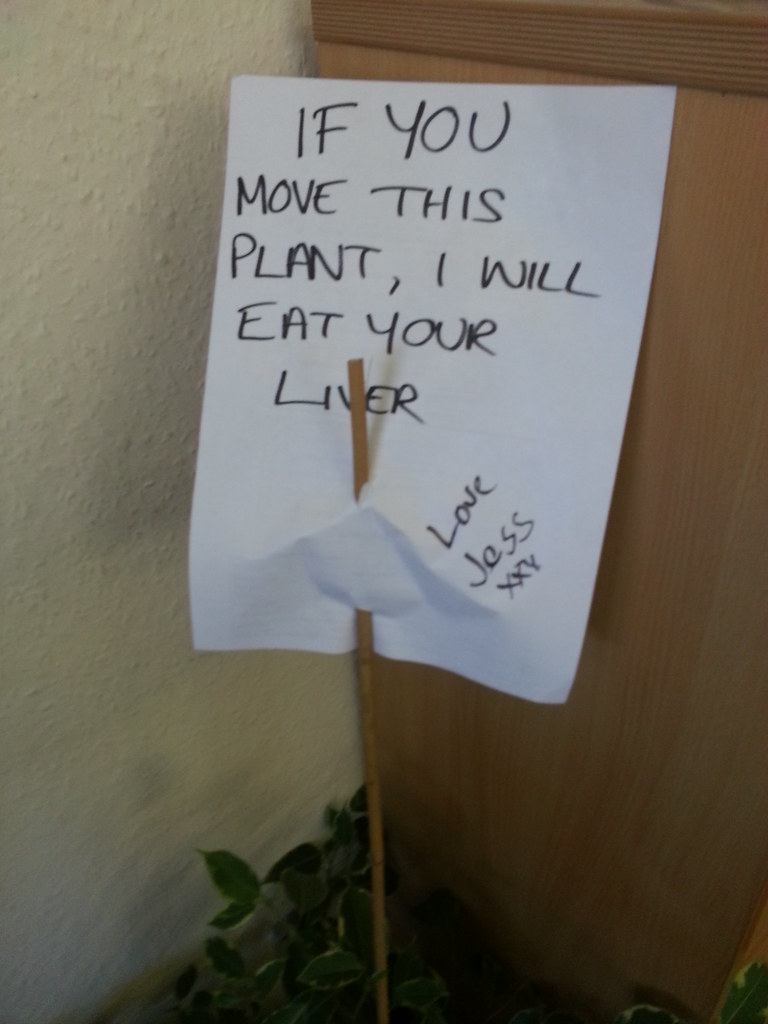 Move this plant and i will eat your liver. Love Jess xx