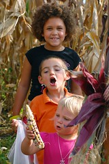 Children of the (Indian) Corn