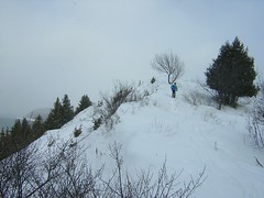 Bay View Ski Trails - Sleeping Bear Dunes <a style="margin-left:10px; font-size:0.8em;" href="http://www.flickr.com/photos/18594295@N07/12427695724/" target="_blank">@flickr</a>