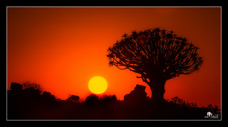 Sunrise in the Quivertree Forest, Namibia.
