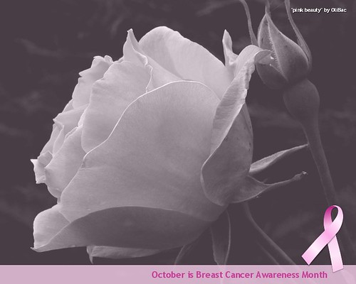 October is Breast Cancer Awareness Month ©  OliBac
