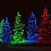 Trees of Christmas