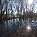 River Trent washlands 2, Burton-on-Trent
