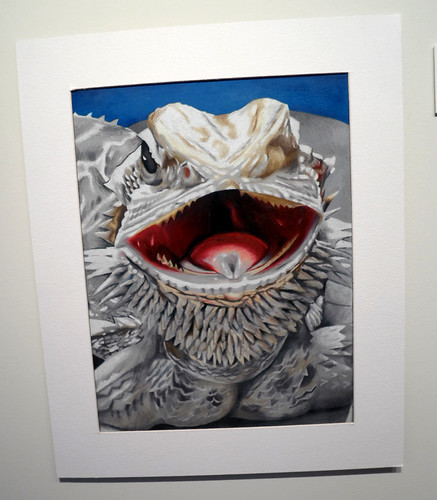 OEHS - Bearded Dragon by Colin Sykes