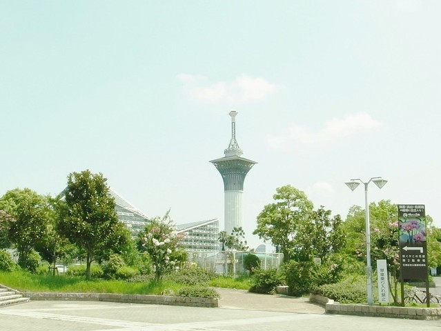 大阪 花博記念公園鶴見緑地で朝のサイクリング: NOTE