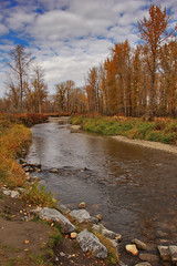 Fish Creek in the Fall