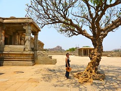 Vittala Temple • <a style="font-size:0.8em;" href="http://www.flickr.com/photos/92957341@N07/8749406445/" target="_blank">View on Flickr</a>
