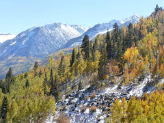 Colorado Fall Colors from McClure Pass