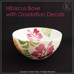 Hibiscus Bowl <a style="margin-left:10px; font-size:0.8em;" href="http://www.flickr.com/photos/94066595@N05/13690672165/" target="_blank">@flickr</a>