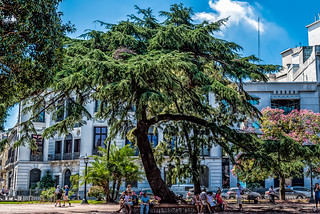 Montevideo Plaza Zabala-2
