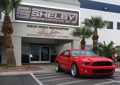 Shelby 1000 • <a style="font-size:0.8em;" href="http://www.flickr.com/photos/82310437@N08/11788568223/" target="_blank">View on Flickr</a>