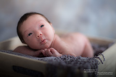 Baby Charlotte Newborn Photoshoot-068.jpg