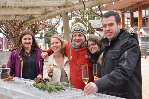 WINE COUNTRY ONTARIO - Early Icewine harvest in Wine Country