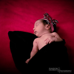Baby Charlotte Newborn Photoshoot-183.jpg