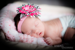 Baby Charlotte Newborn Photoshoot-057.jpg