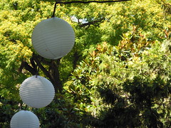 Paisaje Jardín Japonés <a style="margin-left:10px; font-size:0.8em;" href="http://www.flickr.com/photos/62525914@N02/11638622536/" target="_blank">@flickr</a>